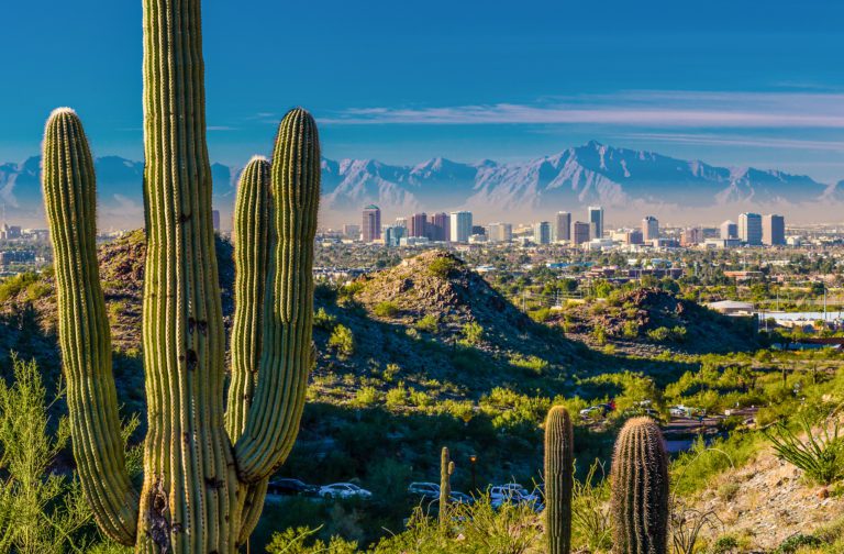 Phoenix skyline and cactuses